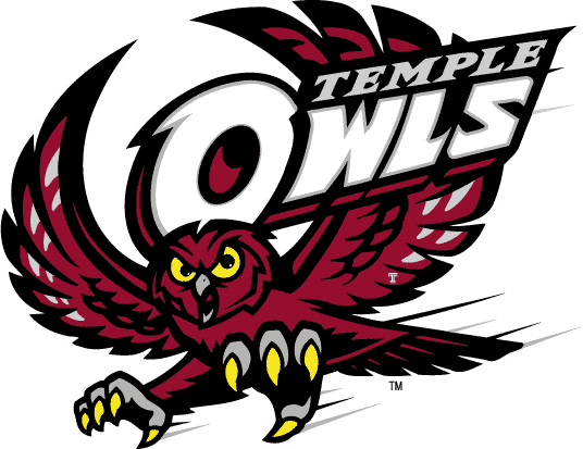 Temple Owls 1996-Pres Primary Logo iron on transfers for clothing